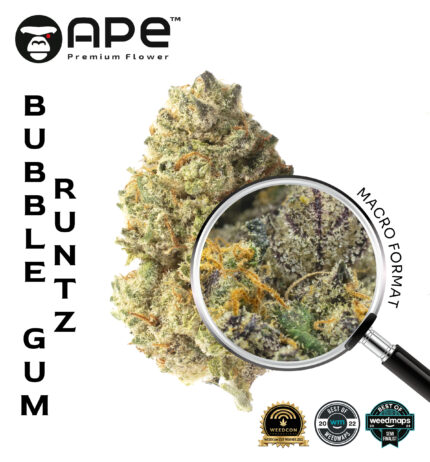 Bubble Gum Runtz APE THCA Flower – Sweet bubble gum flavor with high THCA potency, available for delivery.