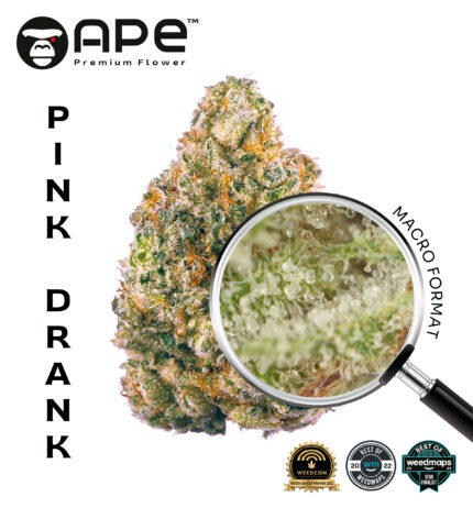 Pink Drank APE THCA Flower – Premium cannabis with sweet, fruity flavor and high THCA potency, available for delivery.