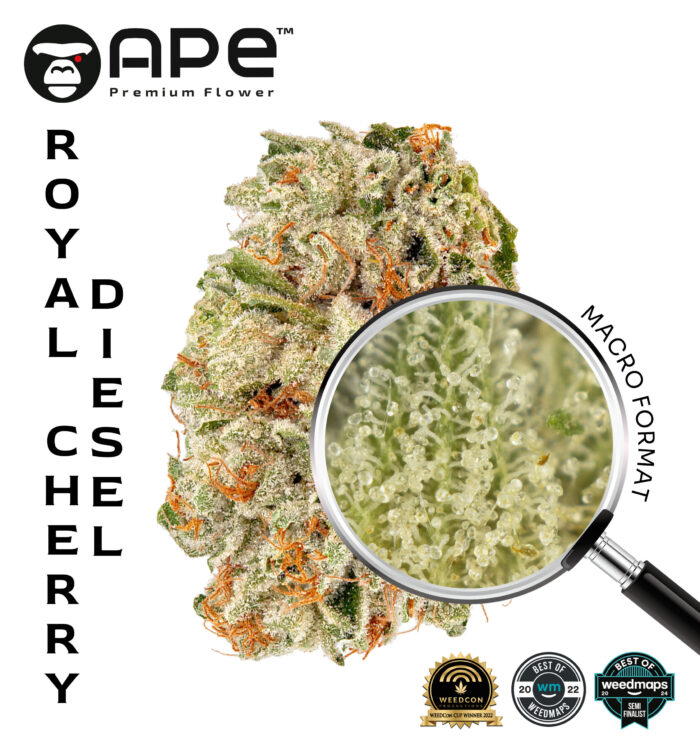 Royal Cherry Diesel APE THCA Flower – Premium cannabis with bold cherry and diesel aroma, high THCA content