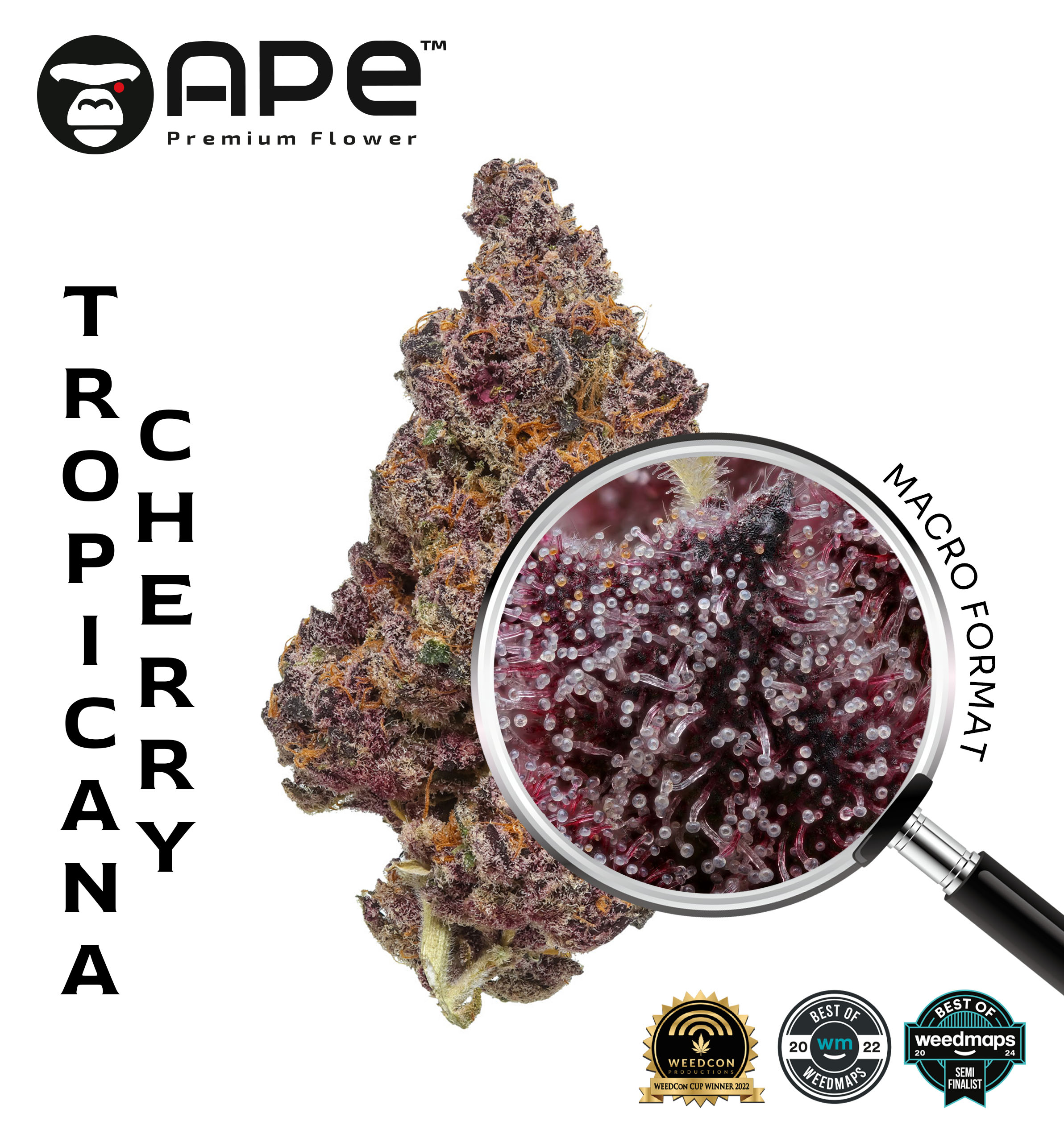 Tropicana Cherries APE THCA Flower – Premium cannabis with tropical cherry flavor and high THCA potency, available for delivery.