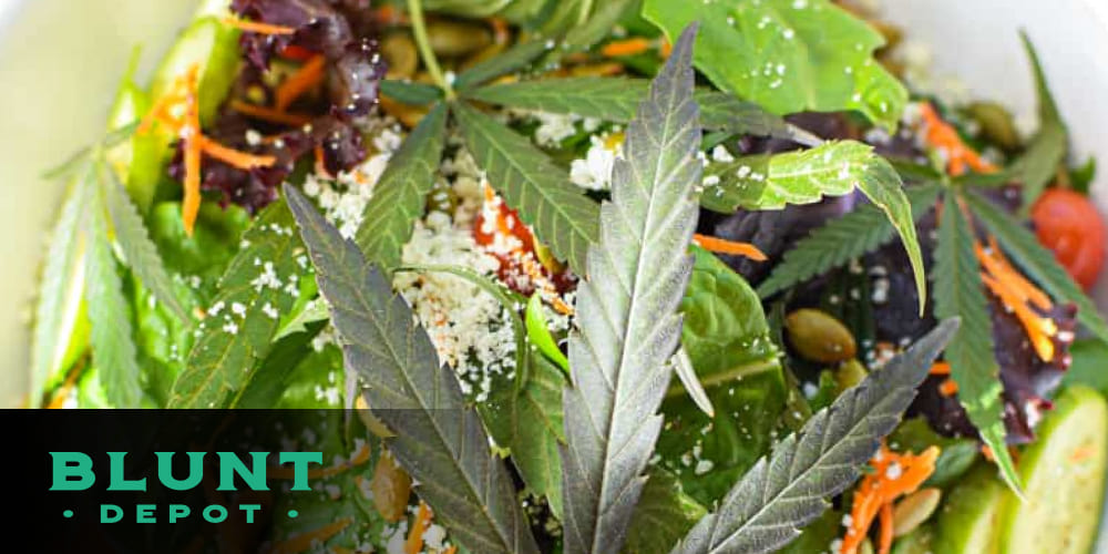 Fresh green salad with cannabis-infused dressing, avocado slices, cherry tomatoes, and nuts on a plate.