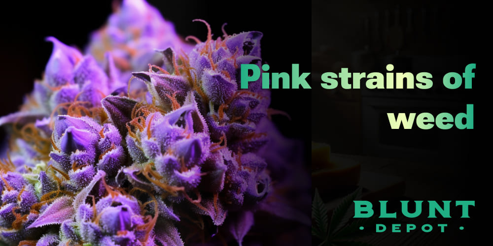 Pink Strains of Weed