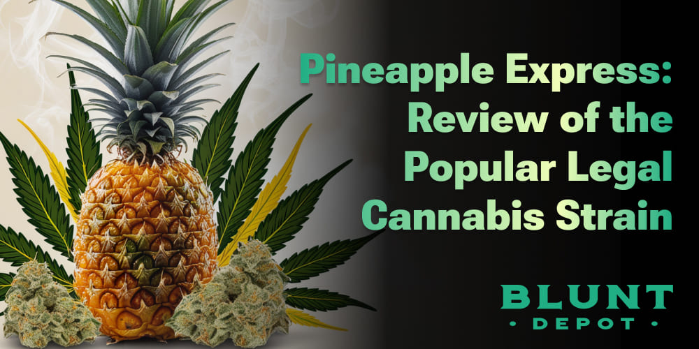 Pineapple Express cannabis buds in natural light with a tropical fruit background