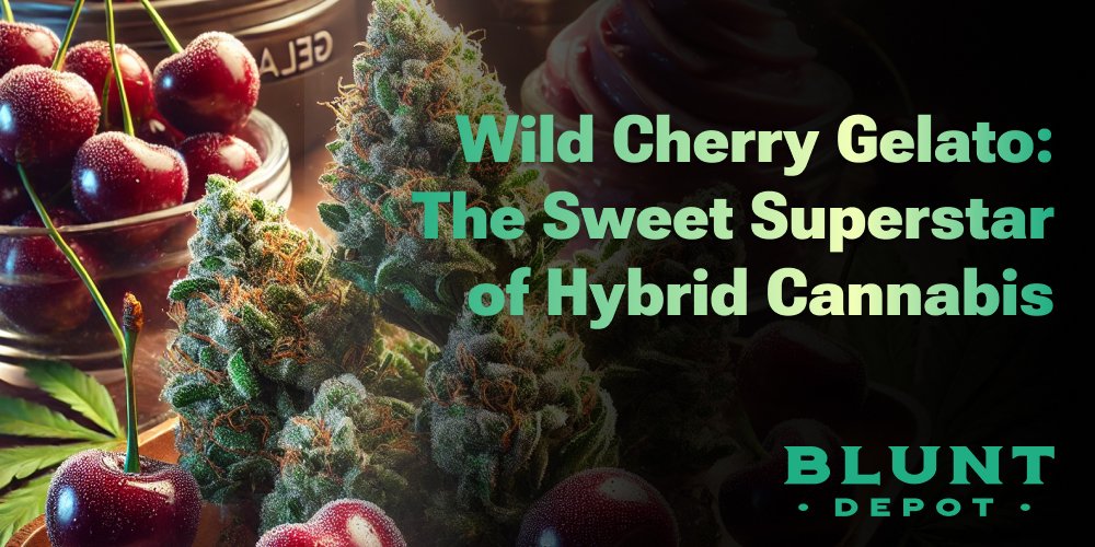 Wild Cherry Gelato – Premium THCA flower with wild cherry and creamy gelato flavor, available for home delivery