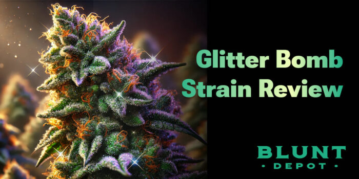 Glitter Bomb Strain Review: Effects, THC Content, Benefits, and Why It