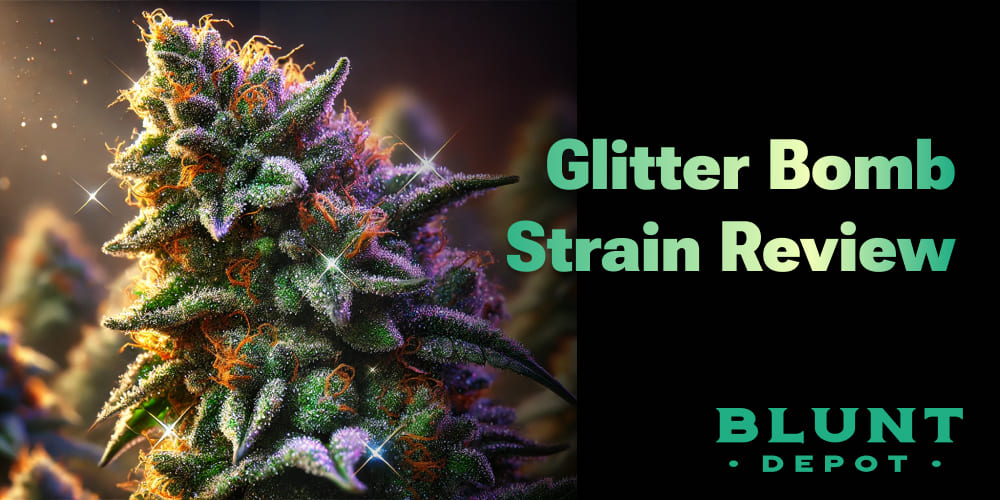 Close-up of Glitter Bomb cannabis buds, showcasing vibrant colors and sparkling THC crystals.