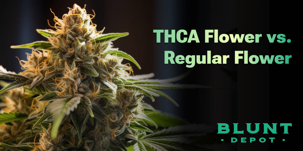 Close-up of high-quality THCA cannabis flower showing detailed trichomes and vibrant buds.