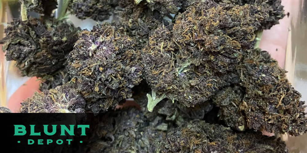 Close-up of purple and green cannabis leaves from premium dark marijuana strains.