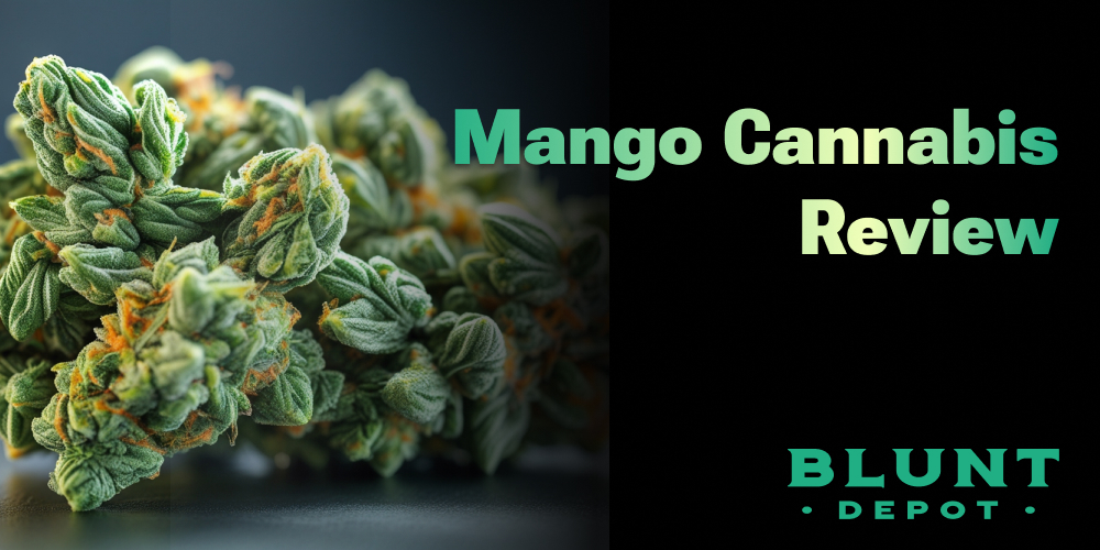 Mango Cannabis Review