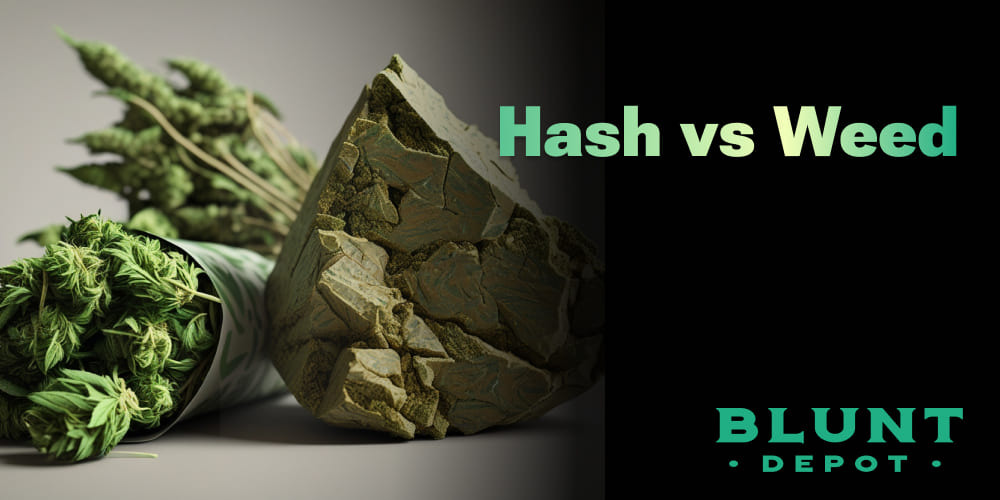 Hash vs Weed