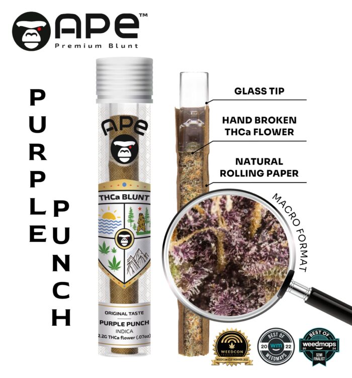 Close-up of Purple Punch – APE THCA Blunt 2.2G, featuring rich purple hues and frosty trichomes, showcasing its premium quality and potent THCA content.