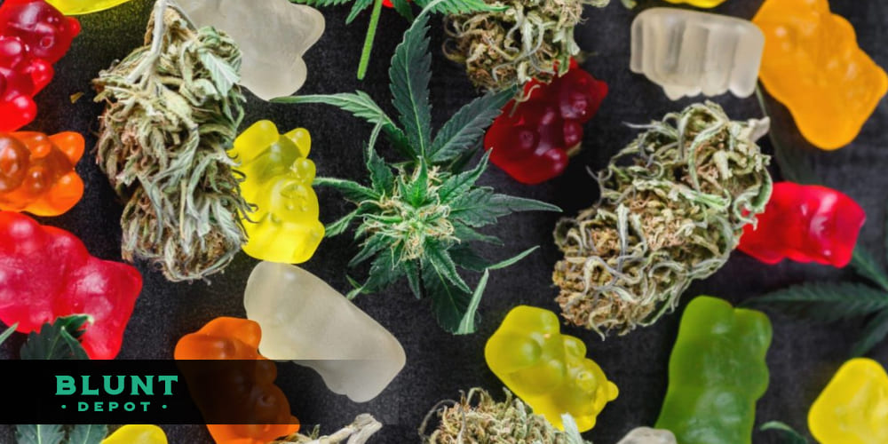 Glossy THCA gummies in assorted colors with sunlight filtering through fresh cannabis leaves