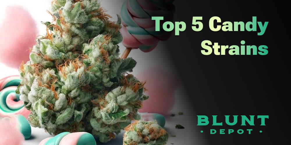 Top 5 Candy Strains