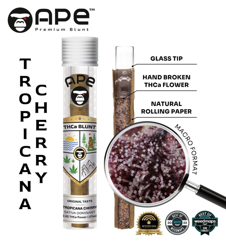 Tropicana Cherries APE THCA Blunt 2.2G with a vibrant blend of tropical citrus and cherry flavors, offering a balanced and uplifting high.