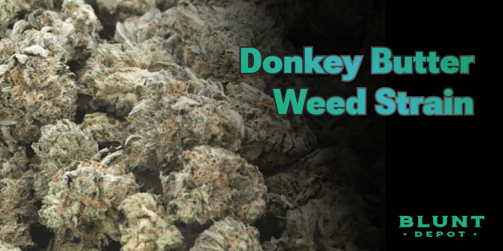 donkey butter weed stain