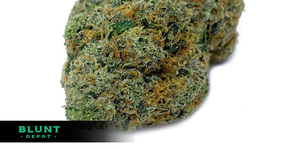 Donkey Butter cannabis strain, known for its relaxing effects.