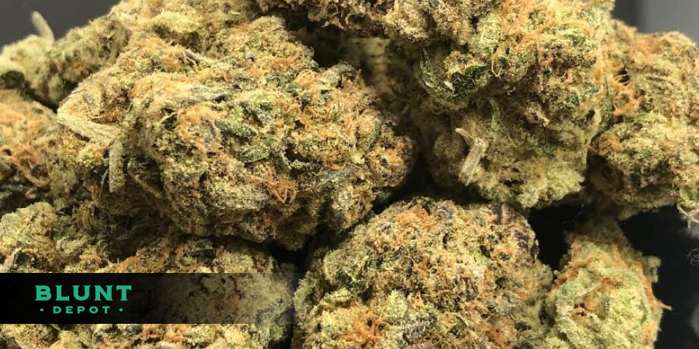 High-quality Donkey Butter indica-dominant hybrid flower.