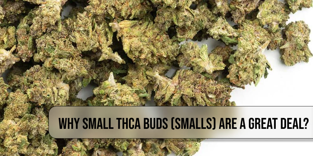 A comparison of small THCA buds and a large bud side by side with price tags and scales on a white background.