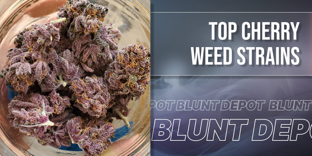 Top Cherry Weed Strains