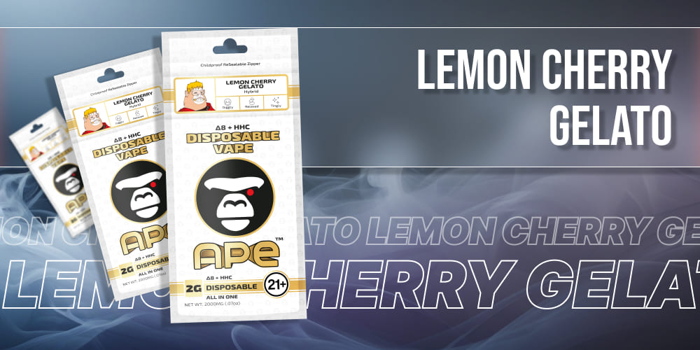 Rich, golden cannabis oil inside the Lemon Cherry Gelato THCa Disposable vape