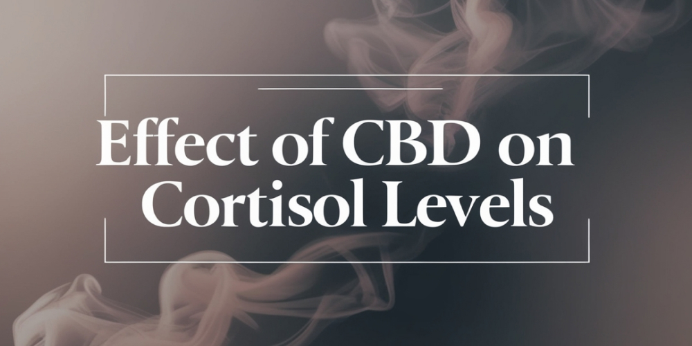 A dropper with golden CBD oil, highlighting its role in managing stress and cortisol levels.