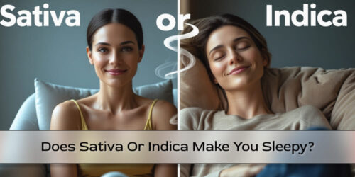 Does Sativa Or Indica Make You Sleepy