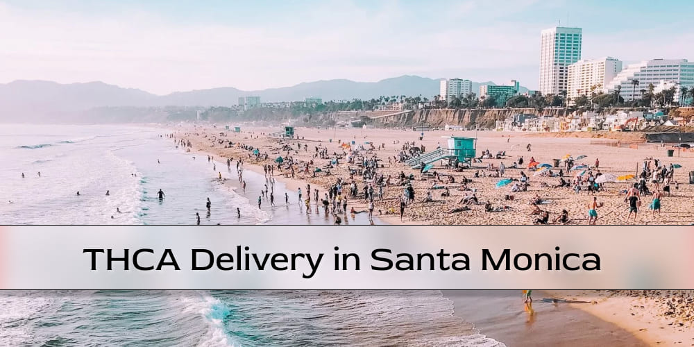 A group of friends relaxing on Santa Monica Beach, using THCa vapes