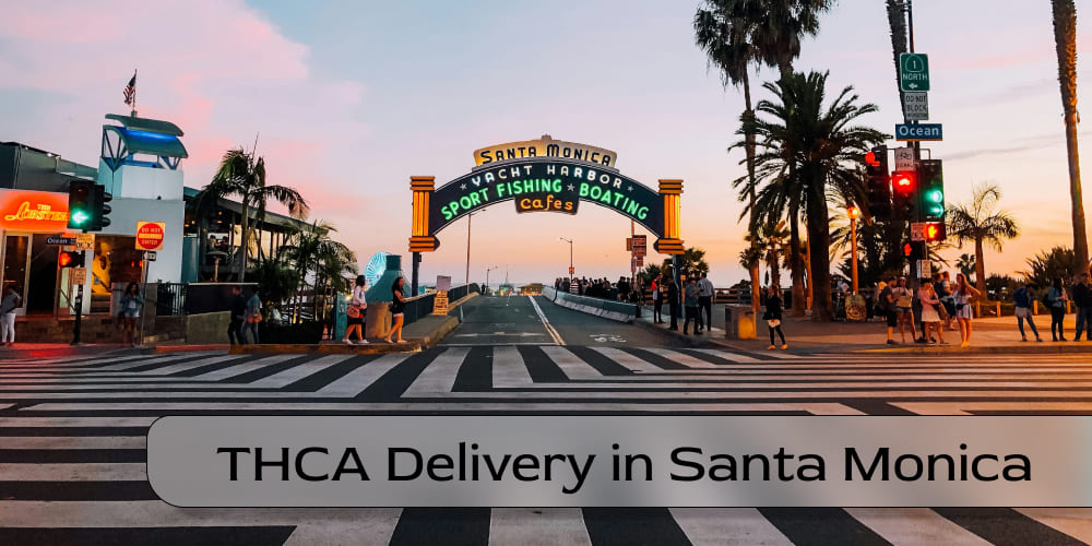 THCA Delivery in Santa Monica