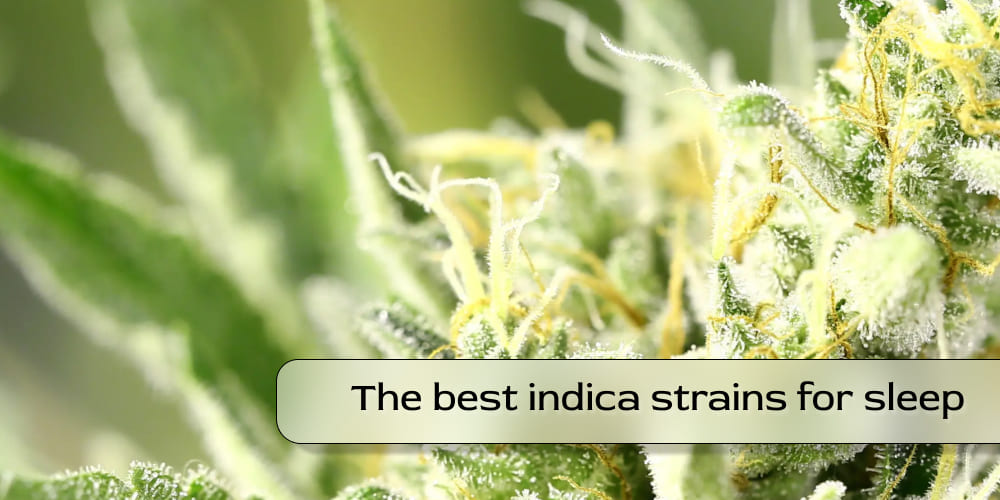 best indica strains for sleep