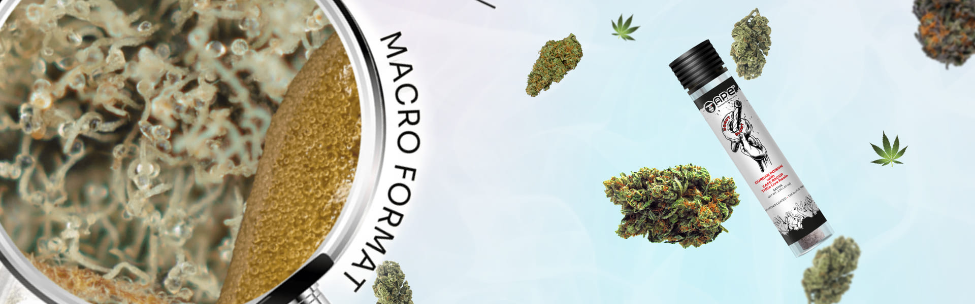 DURBAN POISON with CAFE RACER – Hash Hole THCa