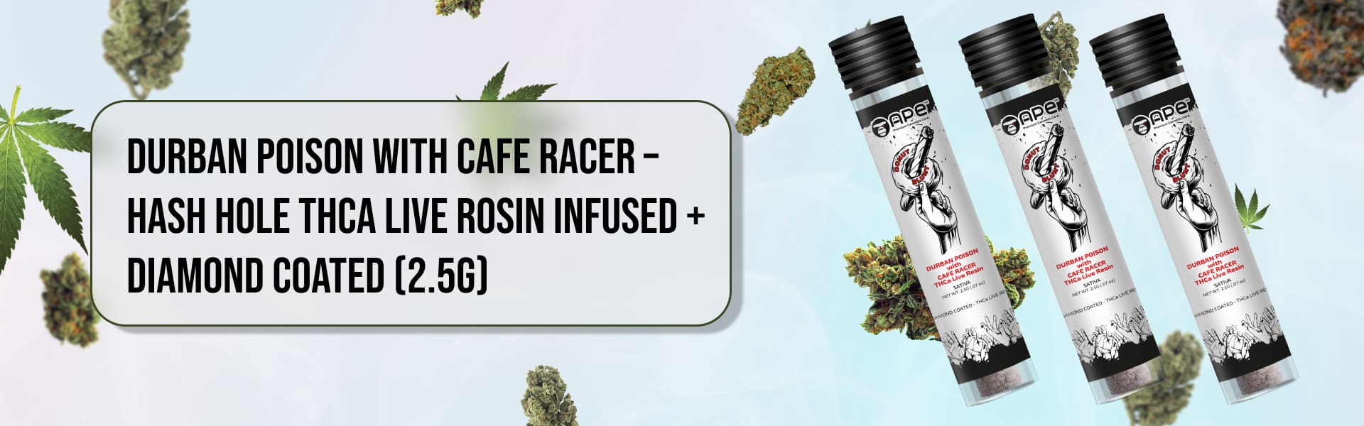 DURBAN POISON with CAFE RACER – Hash Hole THCa Live Rosin Infused + Diamond Coated