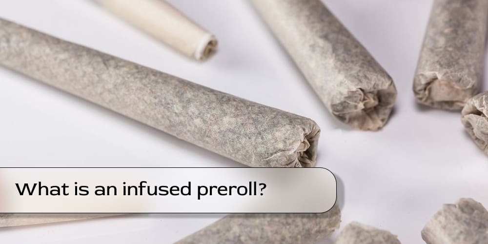 Close-up of a hash-infused preroll with rich, dark hash visible.