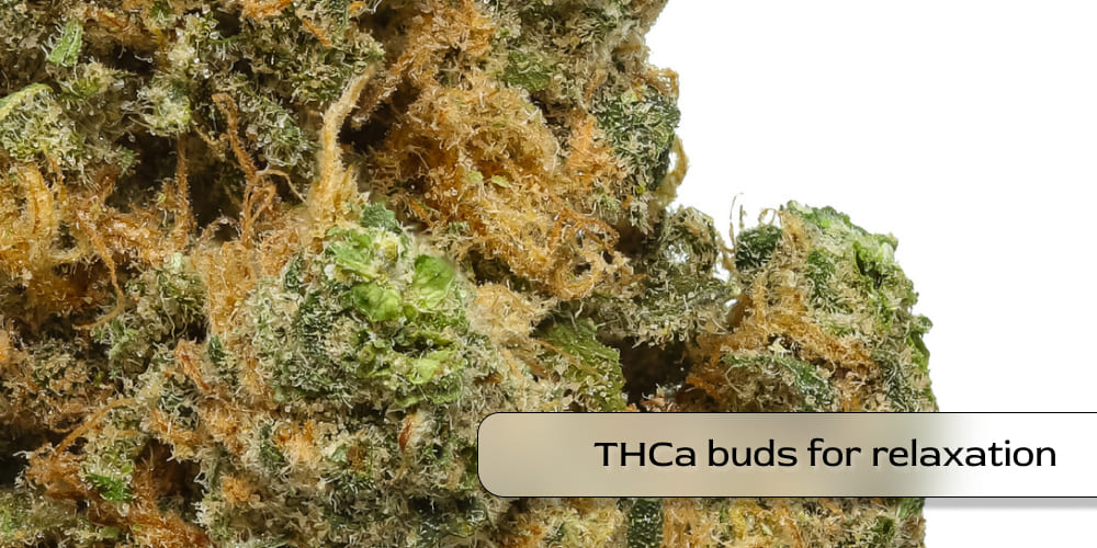 Detailed shot of THCa cannabis buds ready for non-psychoactive use.