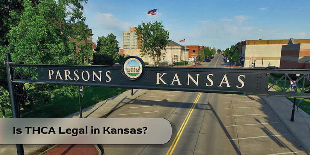 Quiet main street in a small Kansas town with local shops and American flags
