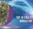 Top 10 THCA Strains You Should Try This Year