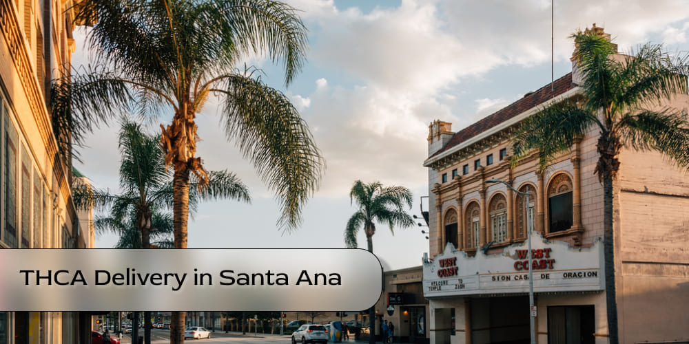 Lush green park in Santa Ana with people enjoying the outdoors