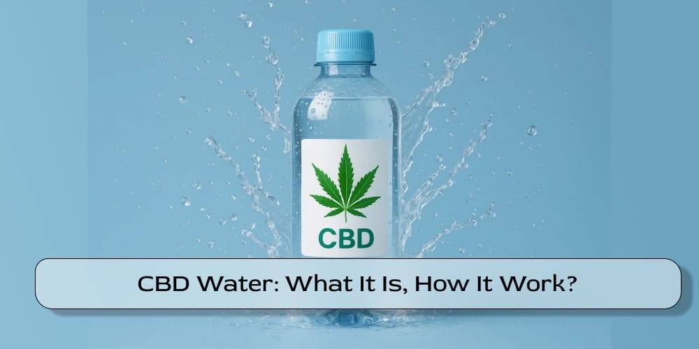 CBD Water What It Is, How It Work