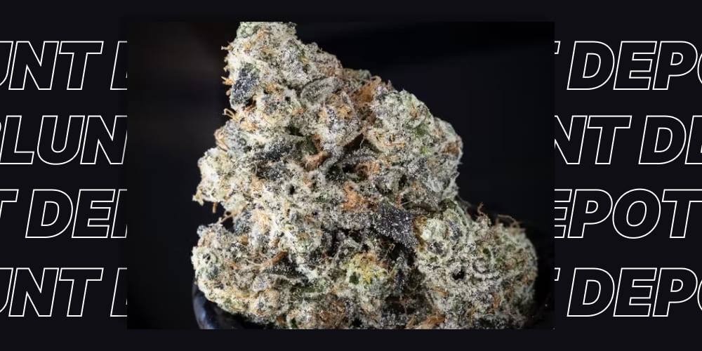 Best Sativa THCA Strains