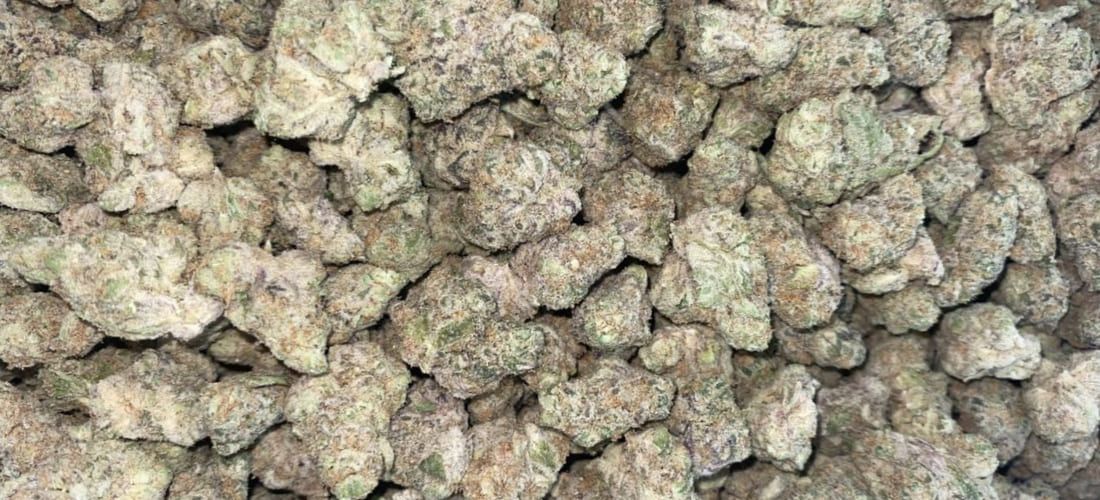 What is the Pink Drink strain