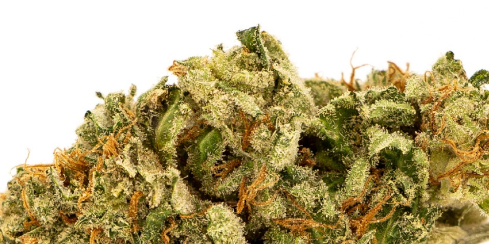 Labeled White Widow cannabis product from a licensed dispensary