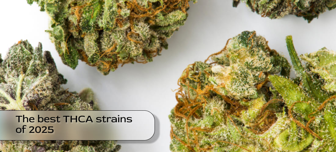 Blue Dream cannabis nug with sparkling resin and deep green coloration