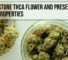 How to store THCA flower and preserve strain properties