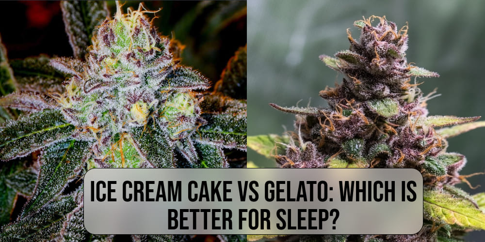 Ice Cream Cake vs Gelato which is better for sleep