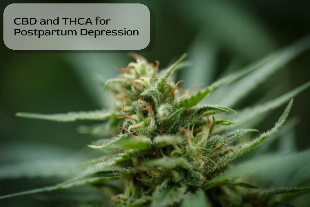 A mother journaling with CBD and THCA supplements nearby