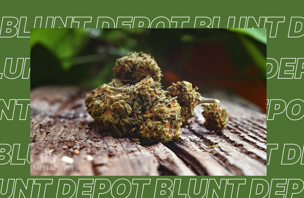 The best THCA strains for morning energy