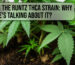 Runtz THCA Strain