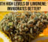 Strains with high levels of limonene