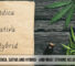 What are indica, sativa and hybrid - and what strains belong to them