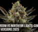 White Widow vs Northern Lights