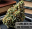 strains with focusing effect